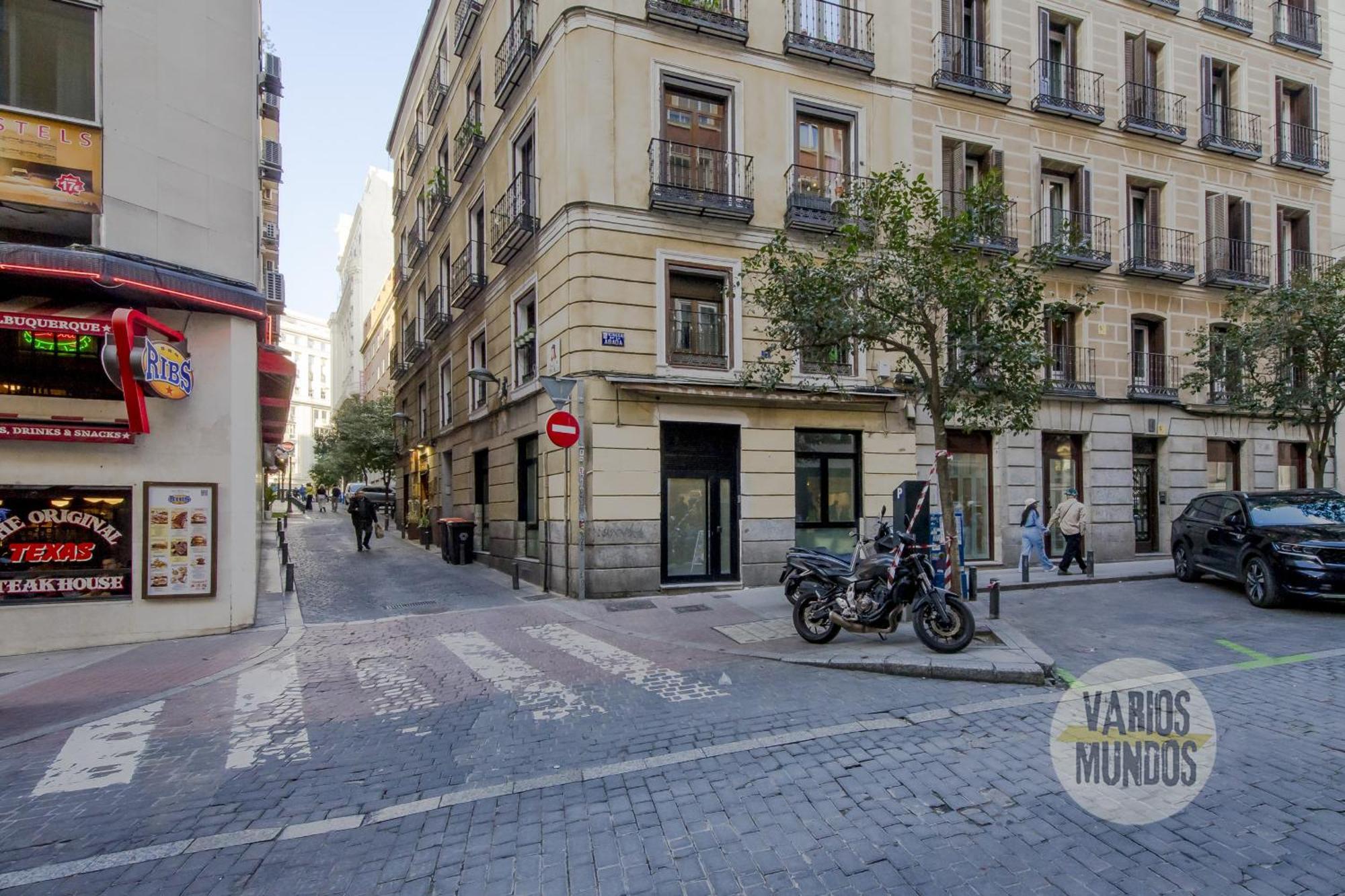 Deluxe Apt En El Centro De Madrid Para 9Pax E3 外观 照片
